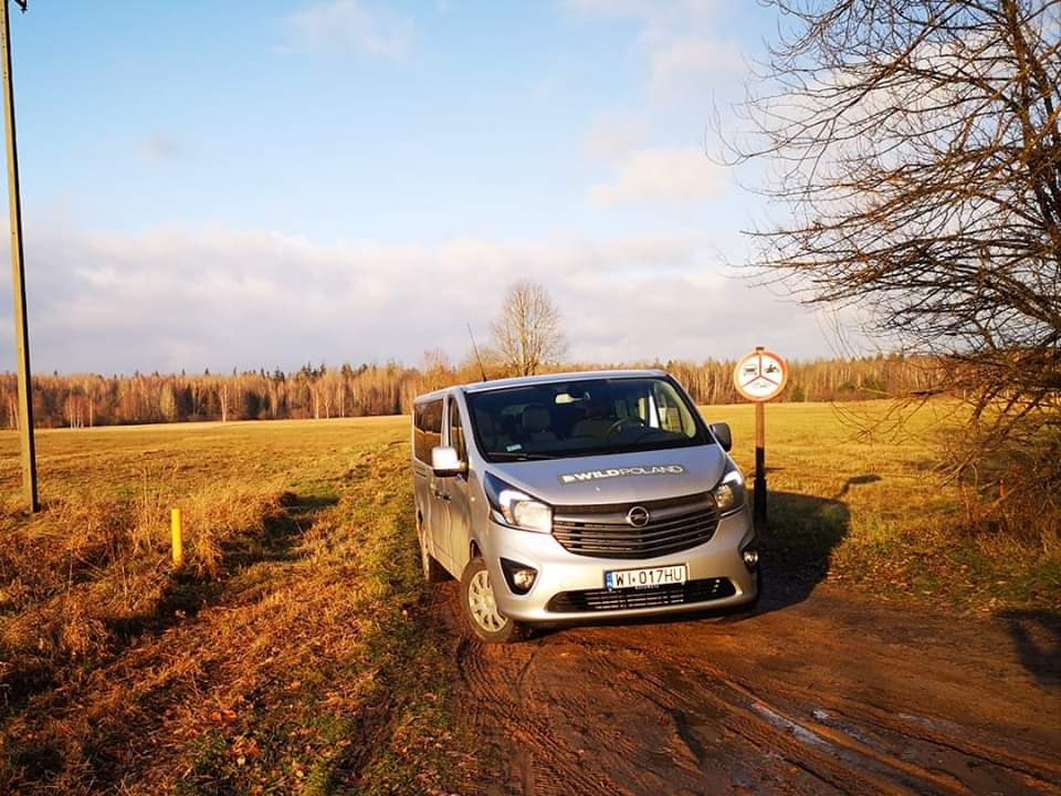 skaluj obraz (+/-) srebrne Vivaro, rocznik 2018