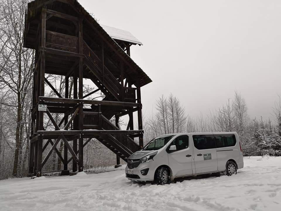 skaluj obraz (+/-) srebrne Vivaro, rocznik 2018