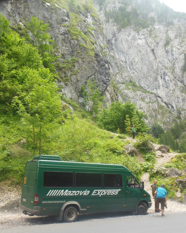 MB Sprinter zielony 389