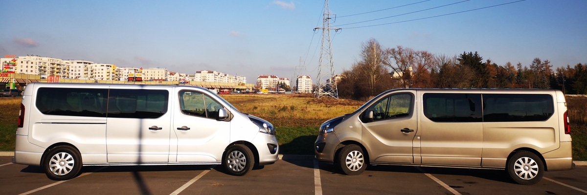 ople Vivaro: srebrny 2018 i beżowy 2017